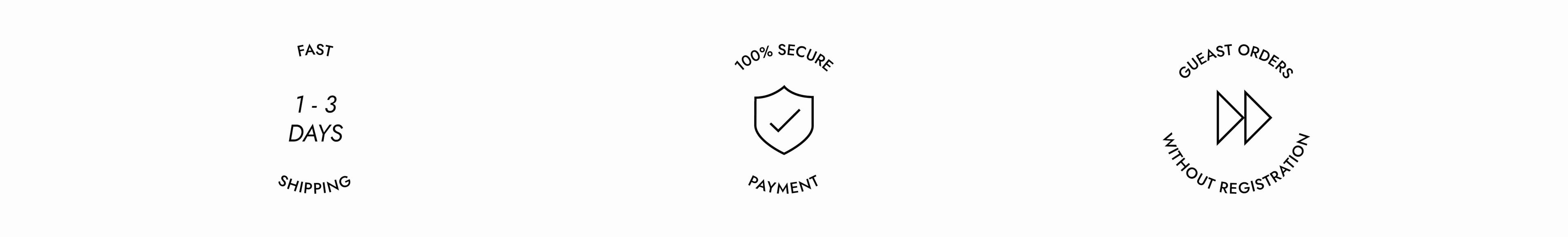 Beschreibende Icons: fast delivery, 100% secure payment and guest orders without registration - desktop